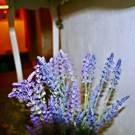 Holiday home Portus De Auren *
